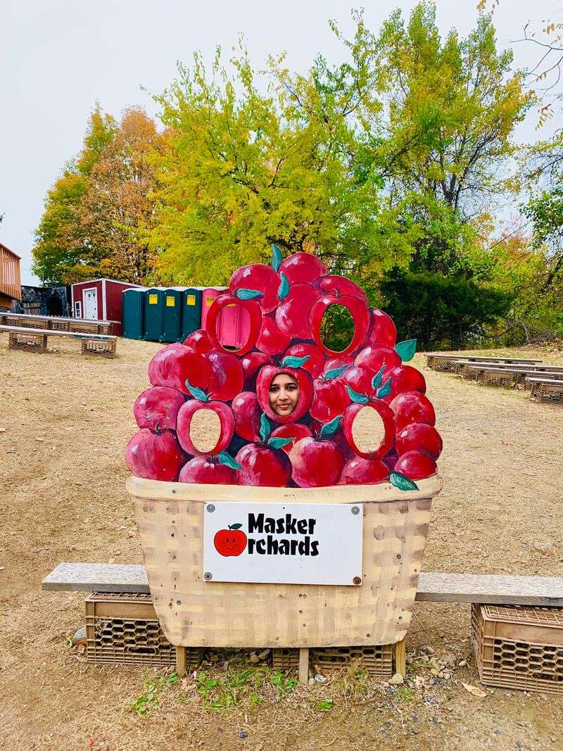 14 New York Apple Cider Donut Stands Where The First Bite Feels Like Fall 3 Masker Orchards - Warwick, New York