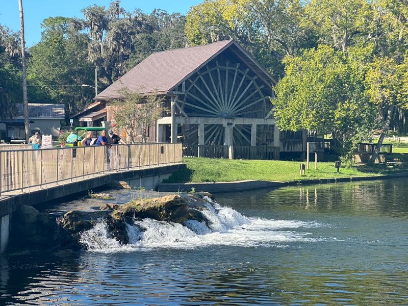 De Leon Springs State Park Setting