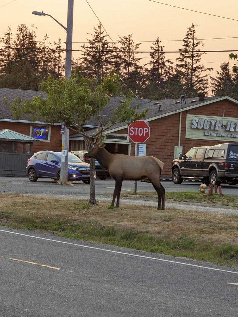 South Jetty Dining Room & Bar - Hammond, Oregon