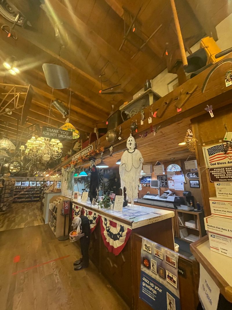 Pizza by the Slice or Whole Pie