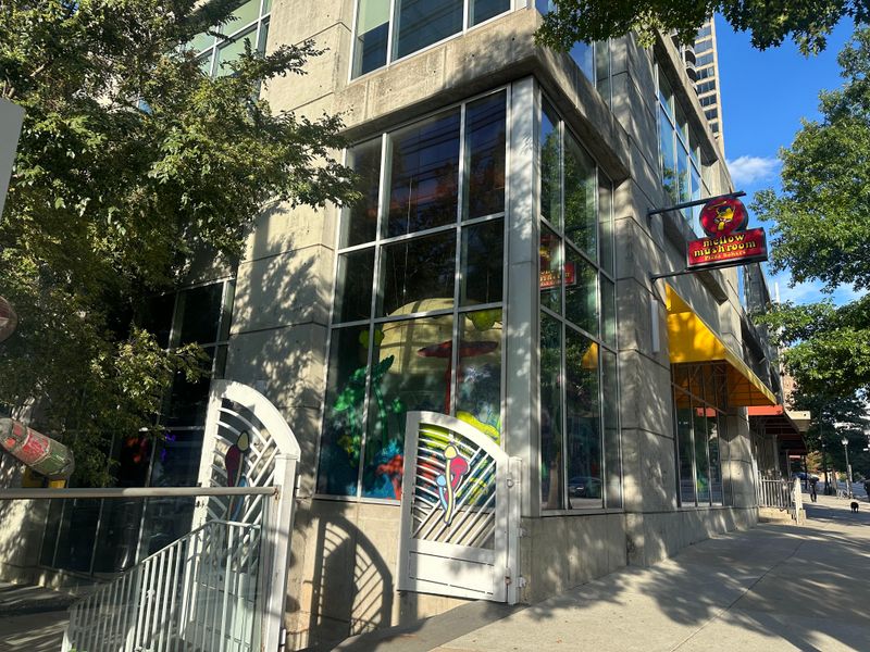 Mellow Mushroom Downtown Atlanta - Atlanta, Georgia