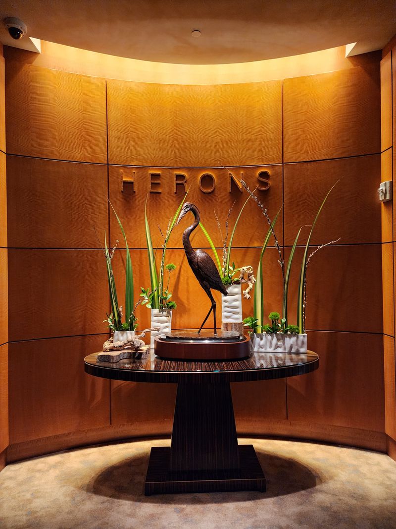 Herons - Cary, North Carolina