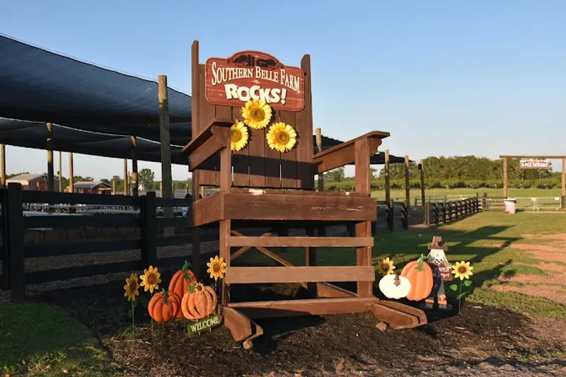 I Traveled Across Georgia To Try 9 Peach Dessert Stops And 4 Were Pure Magic 3 Southern Belle Farm - McDonough, Georgia