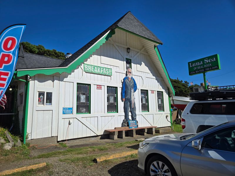 14 Oregon Coastal Fish Counters Where The Crispy Basket Comes Out Too Hot To Hold 13 Luna Sea Fish House - Seal Rock, Oregon