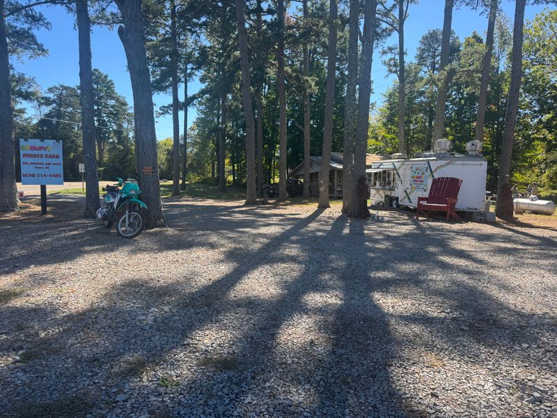 Shady Picnic Tables and Views