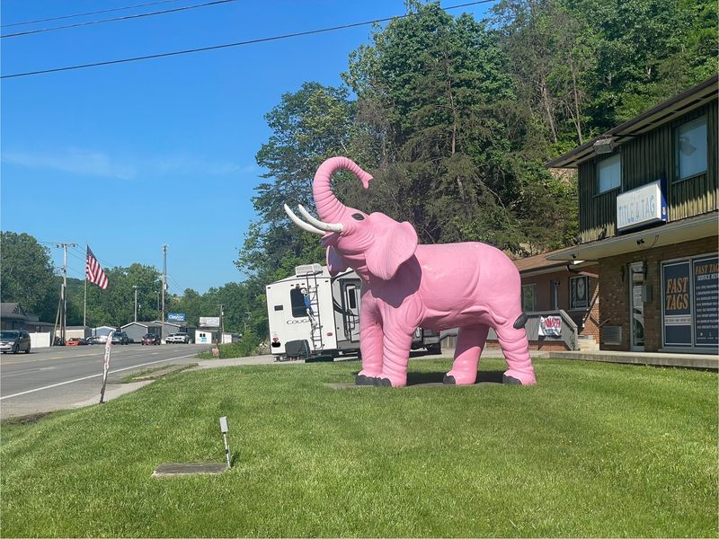 The Pink Elephant - Barboursville, West Virginia