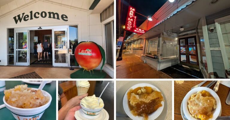 I Traveled Across Georgia To Try 9 Peach Dessert Stops And 4 Were Pure Magic