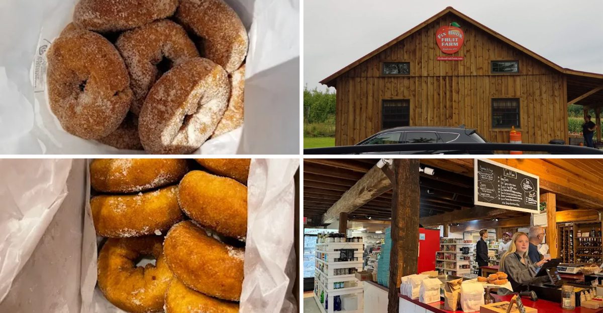 I Traveled Across New York To Taste 15 Apple Cider Donut Stops And 4 Were Pure Magic