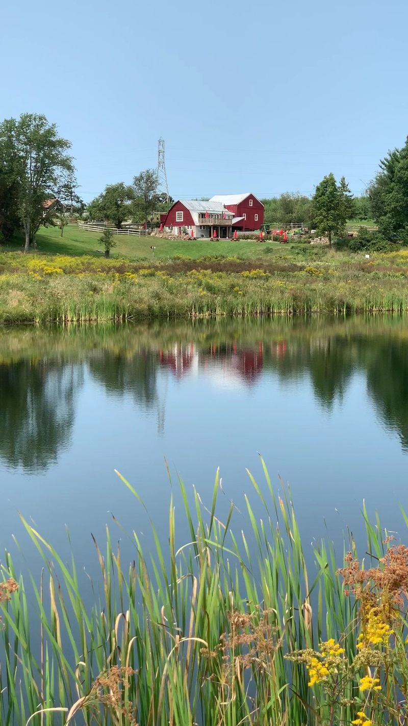 14 New York Apple Cider Donut Stands Where The First Bite Feels Like Fall 8 Apple Dave's Orchards - Warwick, New York