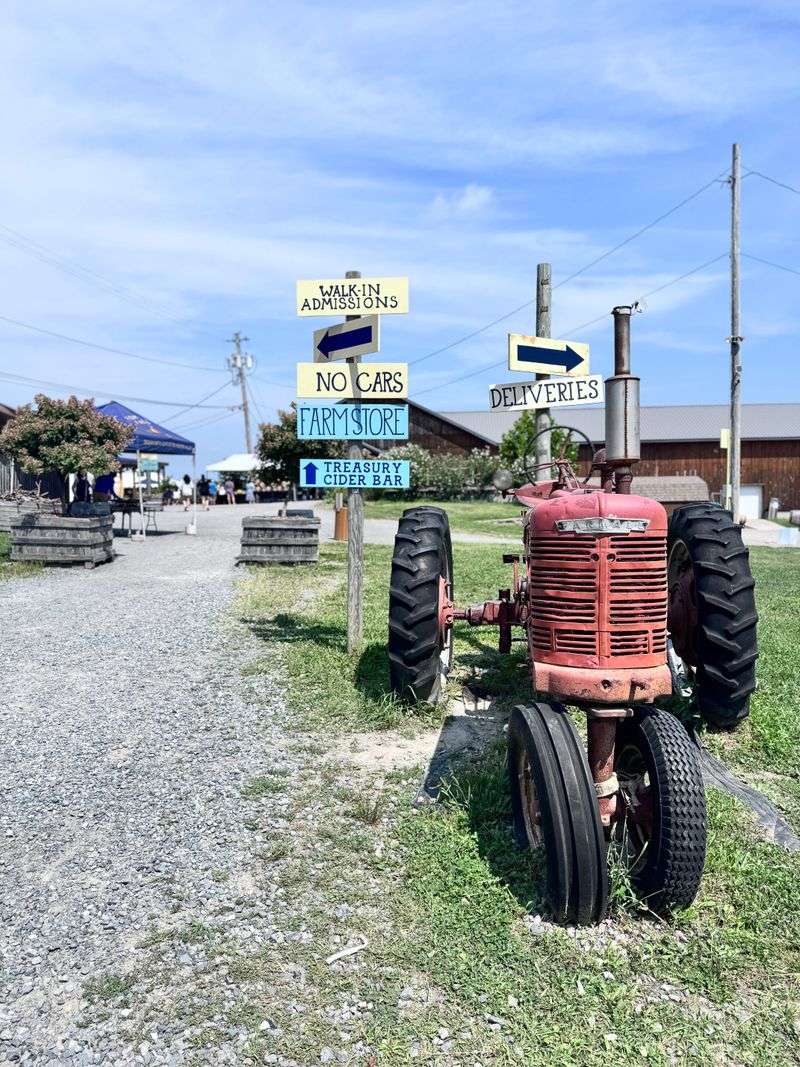 14 New York Apple Cider Donut Stands Where The First Bite Feels Like Fall 10 Fishkill Farms - Hopewell Junction, New York