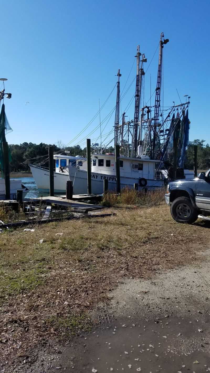 Livingston's Bulls Bay Seafood - McClellanville, South Carolina