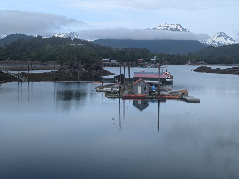 Dock-To-Table Halibut Nigiri Special