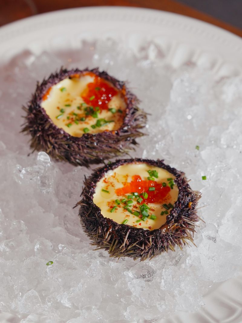 Sea urchin