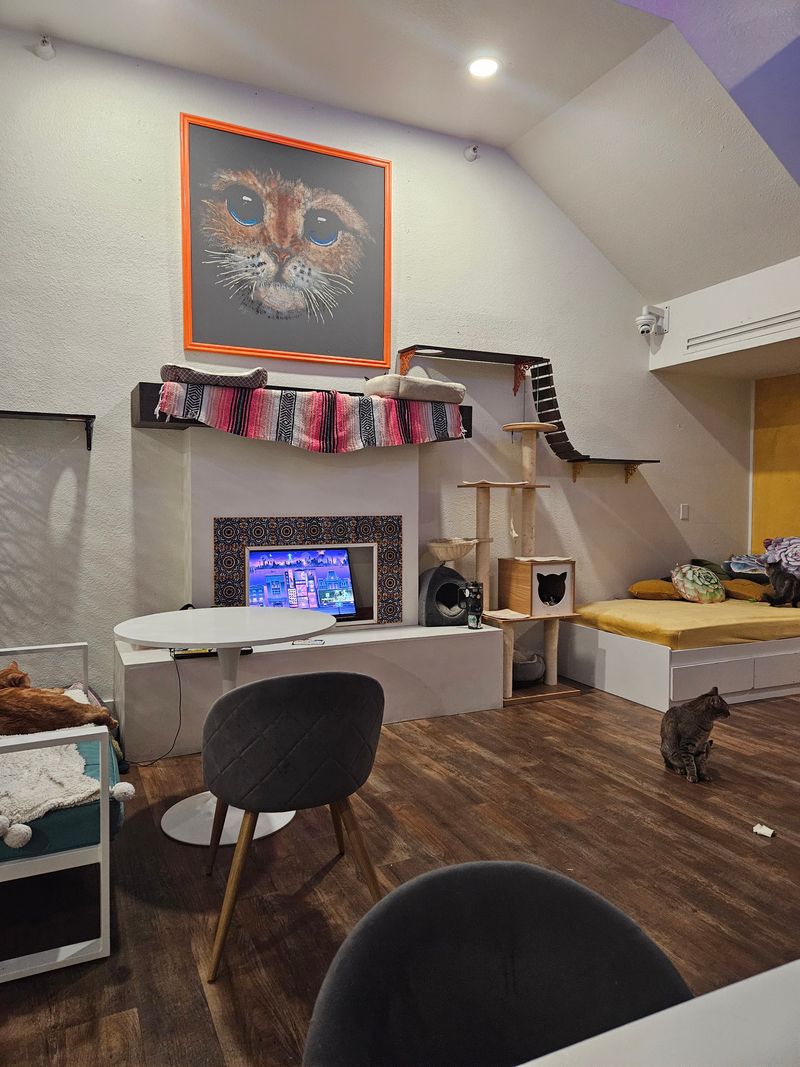 Why Locals Keep Coming Back