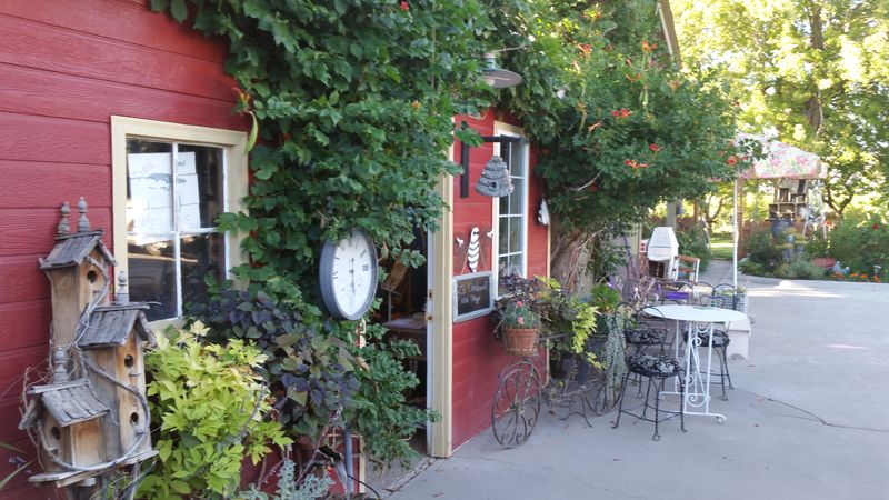 Z's Orchard - Palisade, Colorado
