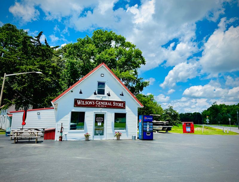 Wilson's General Store - Georgetown, Delaware