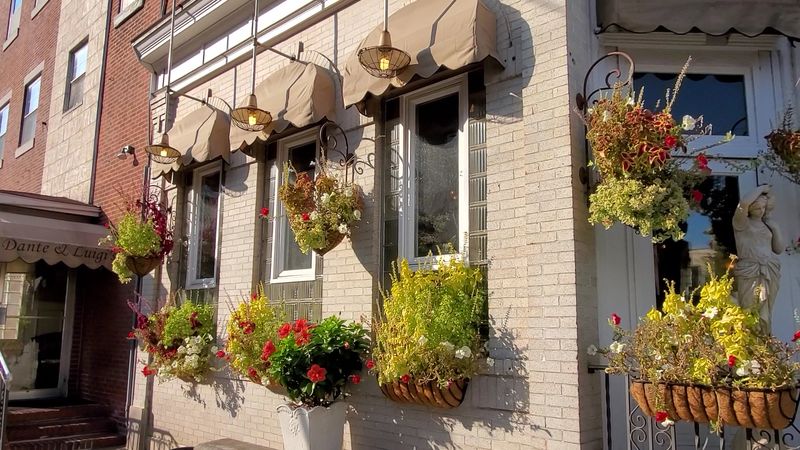 House Negroni and Bar Program