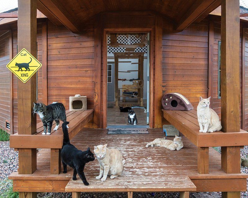 Delta Diner - Mason, Wisconsin