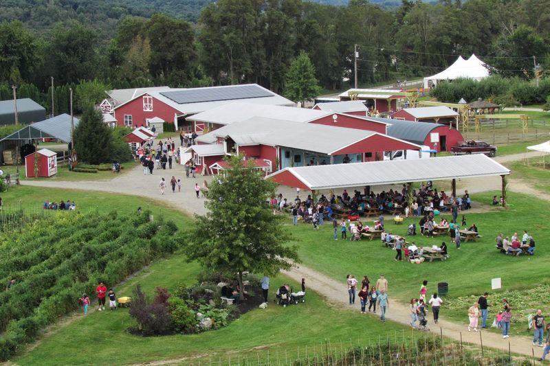 14 New York Apple Cider Donut Stands Where The First Bite Feels Like Fall 5 Barton Orchards - Poughquag, New York