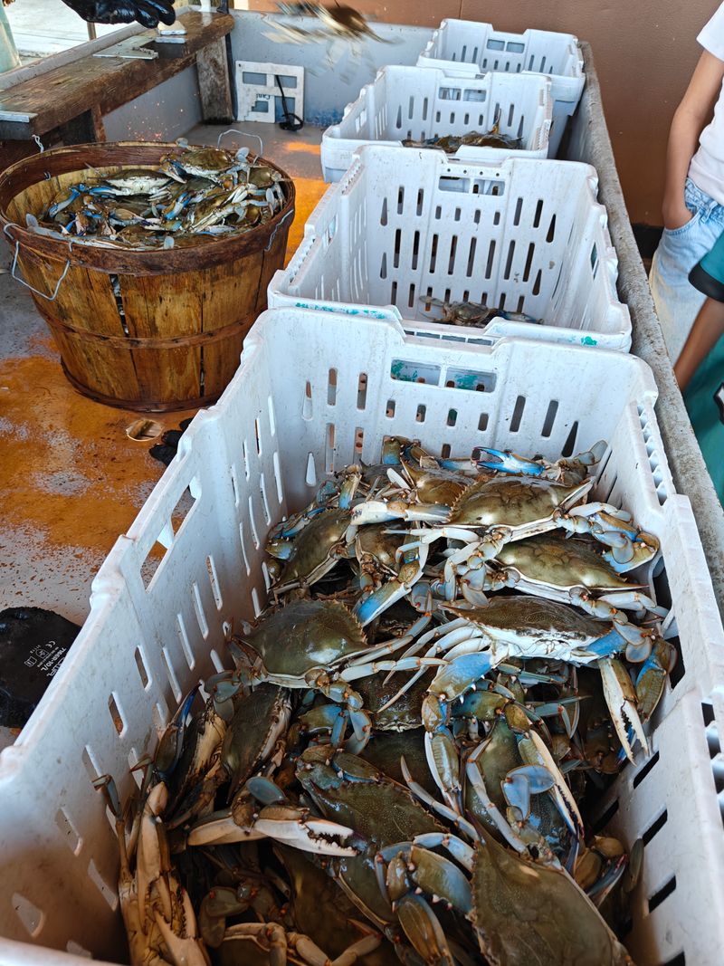 Seasonality And Sizing