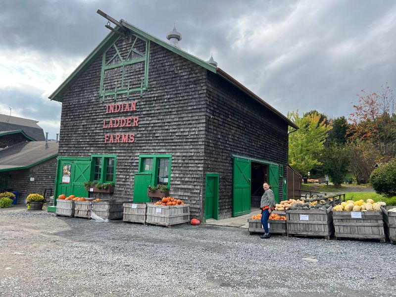 14 New York Apple Cider Donut Stands Where The First Bite Feels Like Fall 7 Indian Ladder Farms - Altamont, New York