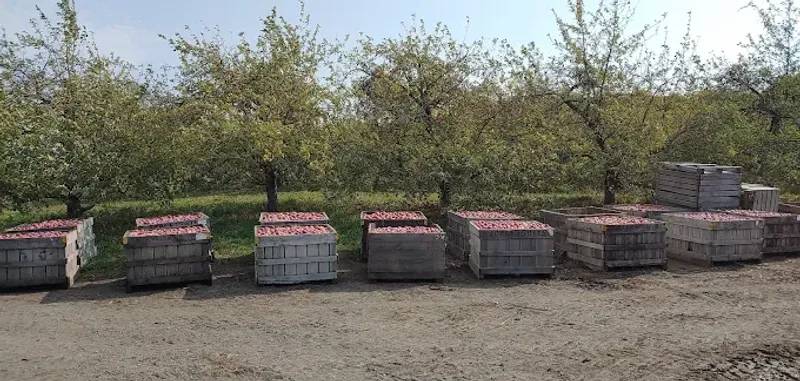 Apple Hill Orchards - Whitehall, New York