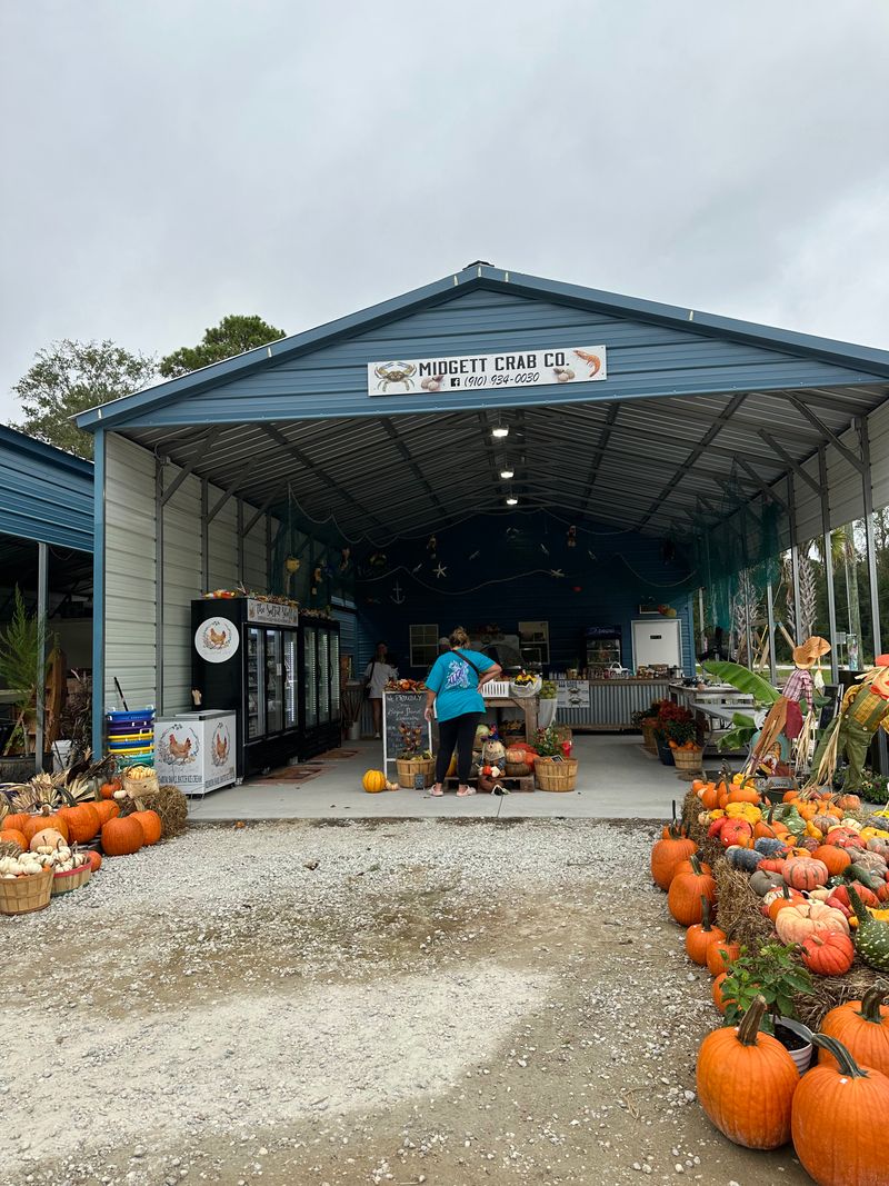 Midgett & Son's Crab Company - Sneads Ferry, North Carolina