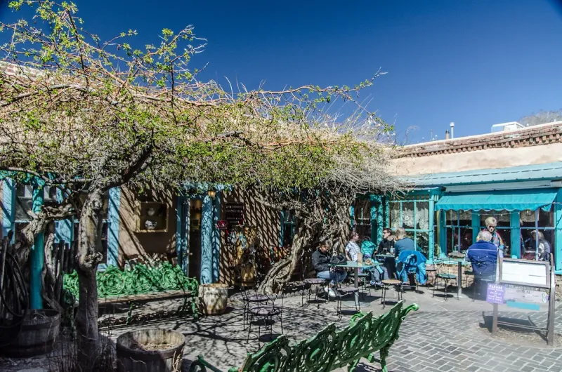 Website And Contact Essentials