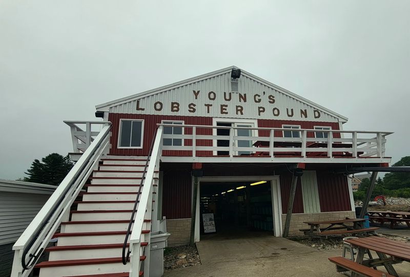 I Traveled Across Maine To Taste 10 Lobster Roll Shacks And 3 Were Worth A Second Trip 13 Young's Lobster Pound - Belfast, Maine