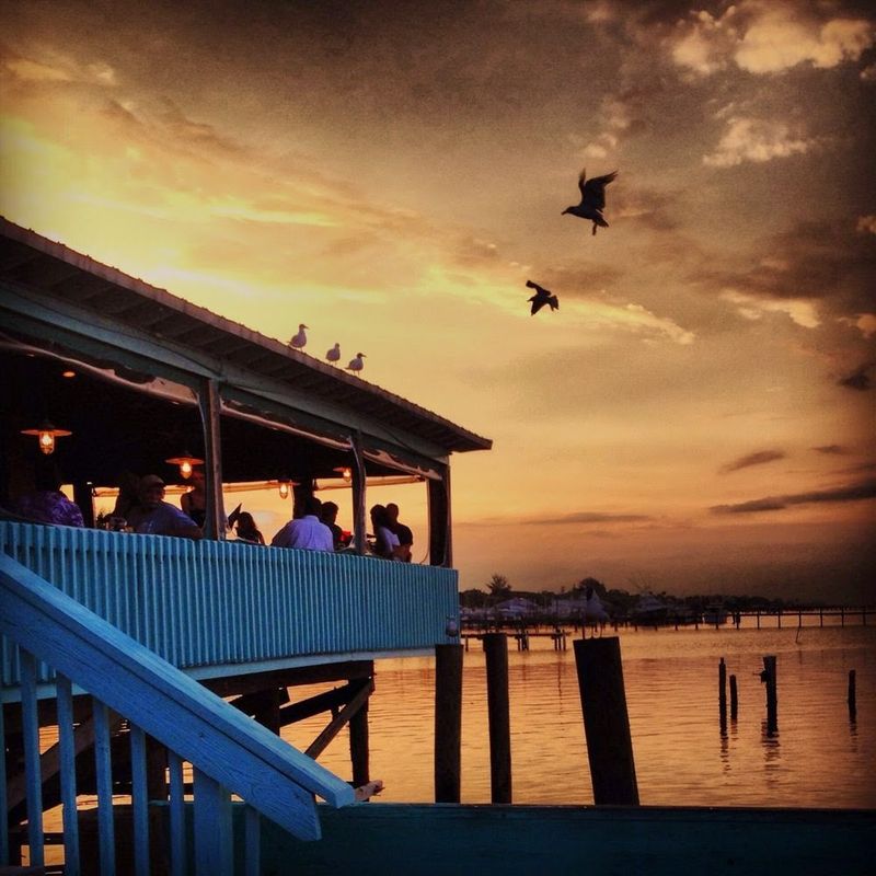 12 Florida Outdoor Seafood Spots Where the Breeze and the Grill Do Half the Magic 6 Squid Lips - Sebastian, Florida