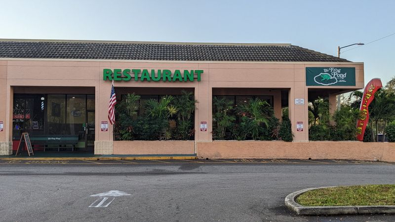 The Frog Pond Downtown St. Petersburg - St. Petersburg, Florida