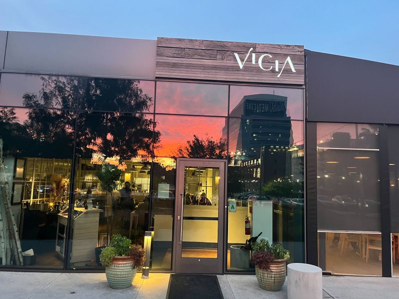 Vicia - St. Louis, Missouri