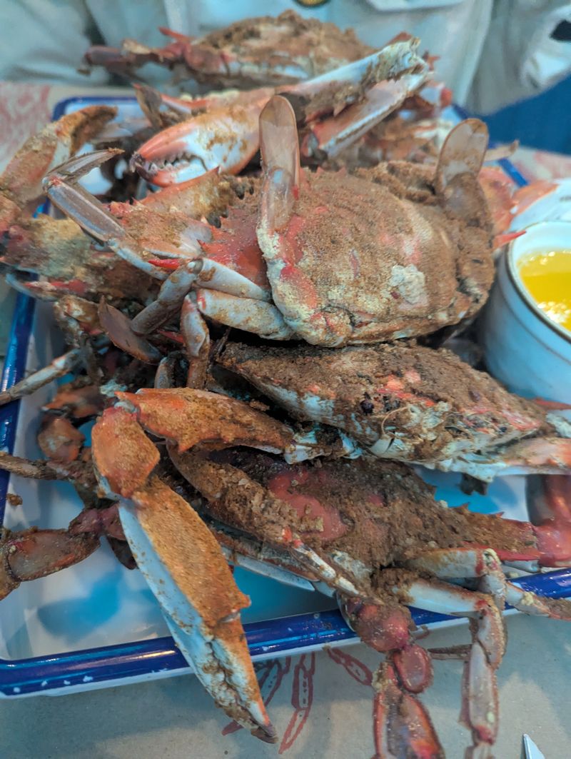 The Starboard Claw - Dewey Beach, Delaware