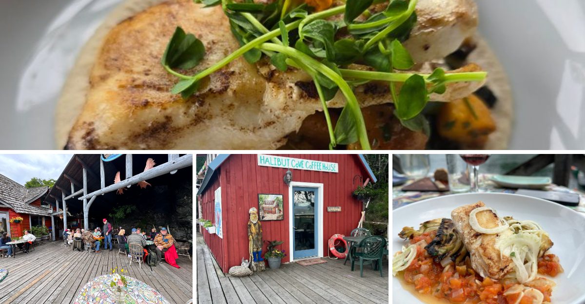 This Alaska Seafood Counter Serves Halibut So Fresh Locals Treat It Like A Seasonal Ritual