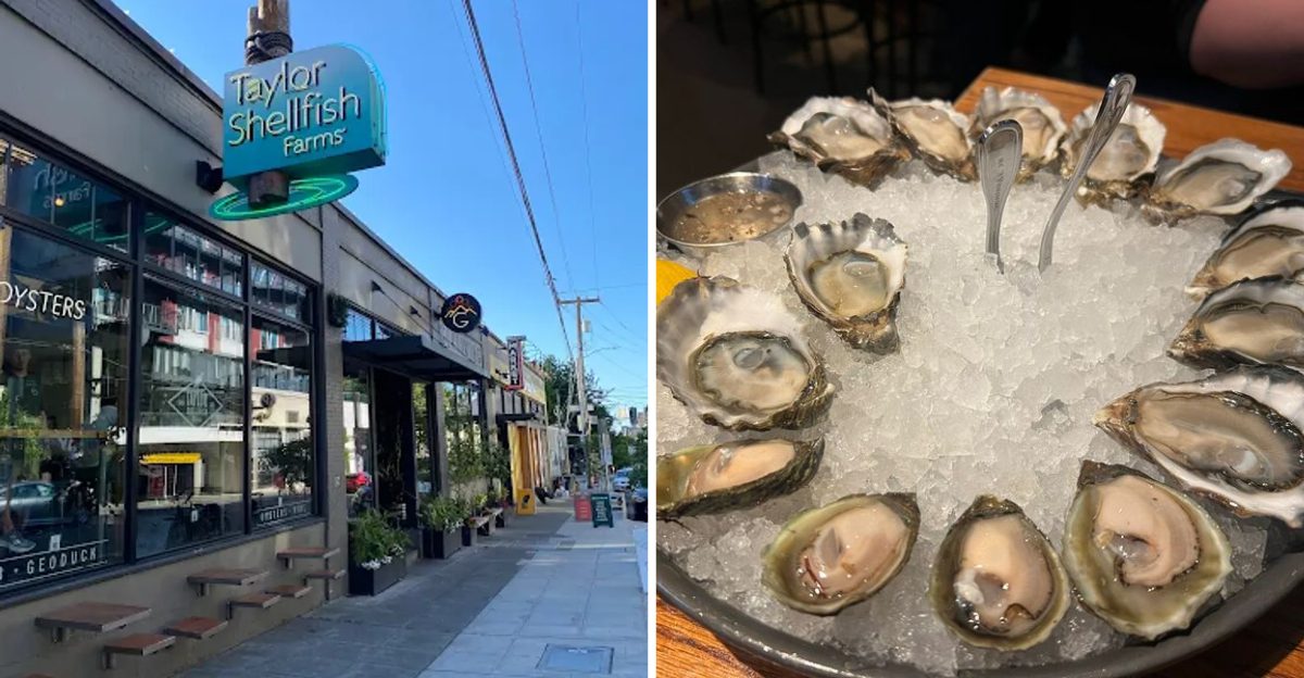 This Washington Oyster Bar Shucks So Fast, You’ll Wonder How The Line Ever Ends 9 This Washington Oyster Bar Shucks So Fast Youll Wonder How The Line Ever Ends