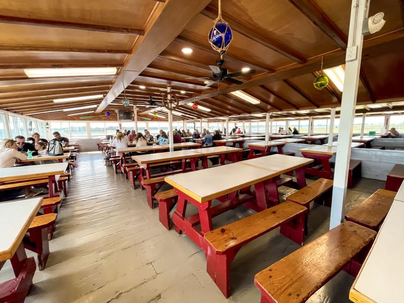 Family-Friendly Vibes