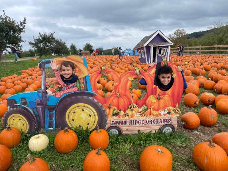 Apple Ridge Orchards - Warwick, New York