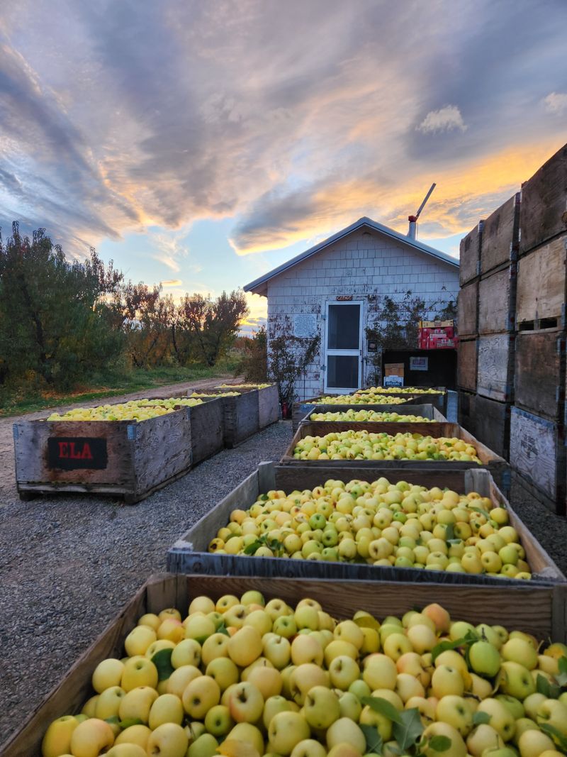 Ela Family Farms - Hotchkiss, Colorado