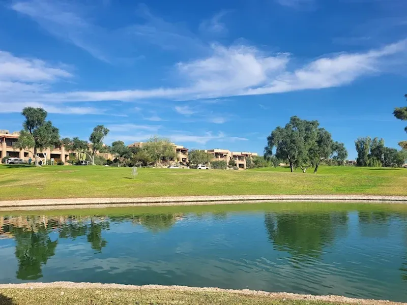 Disc Golf at the Park
