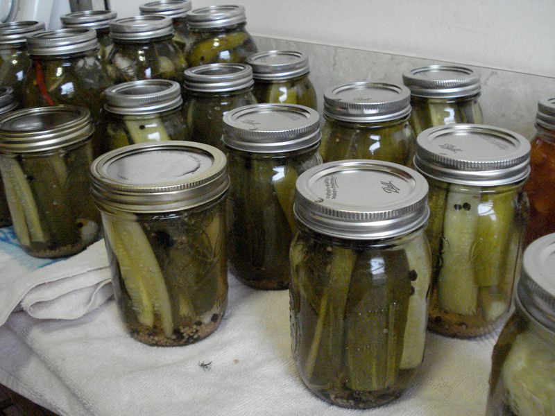 Homemade pickles