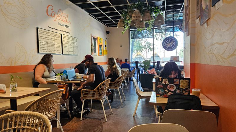 Vibe: Cozy Campus Energy