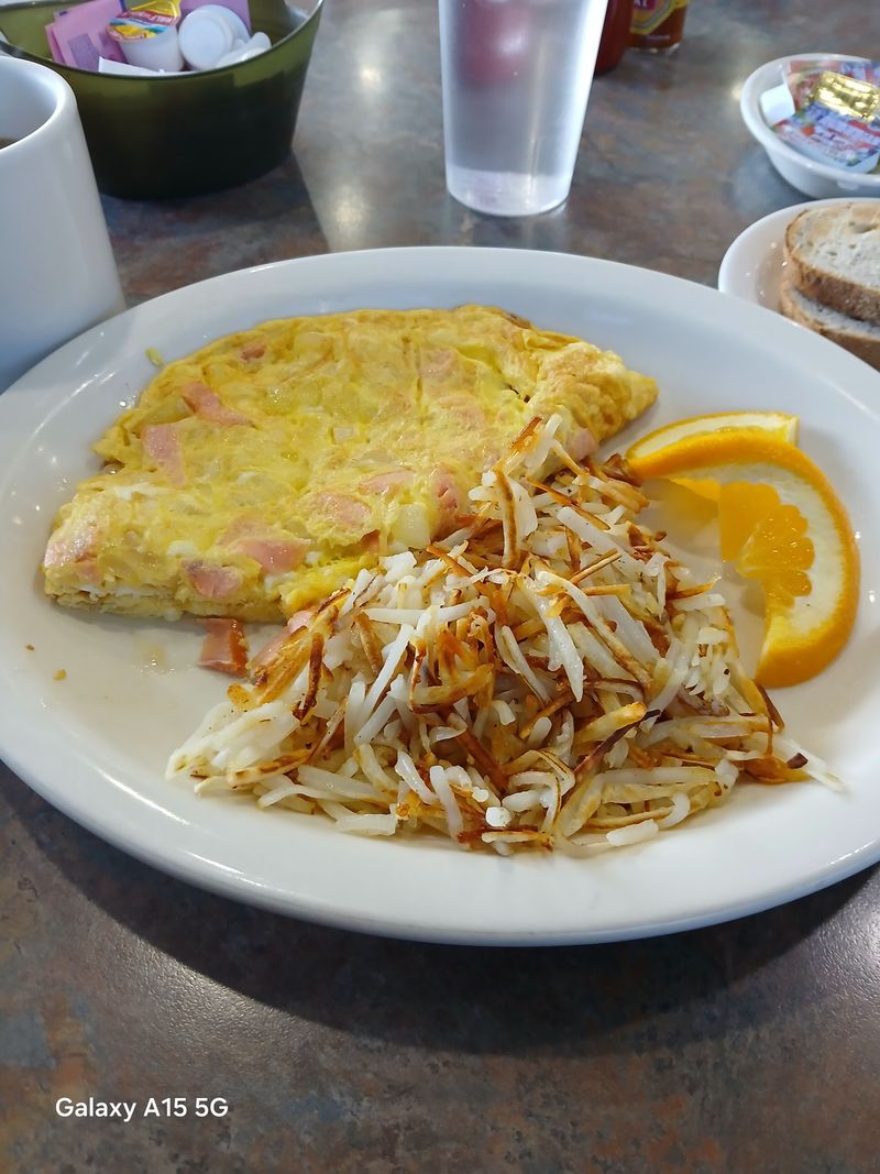 Lox Omelet With Rye Toast