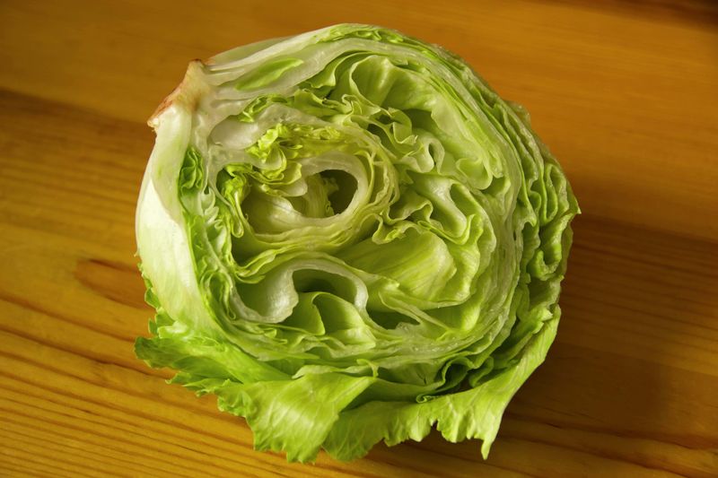 Cabbage