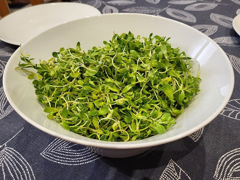 Microgreens