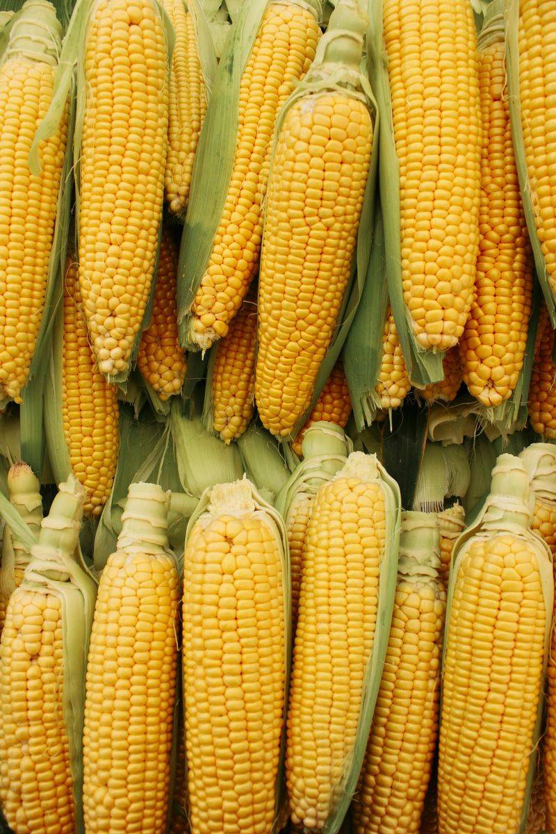 19 Foods People Secretly Miss From Old-School Cafeterias 13 Corn