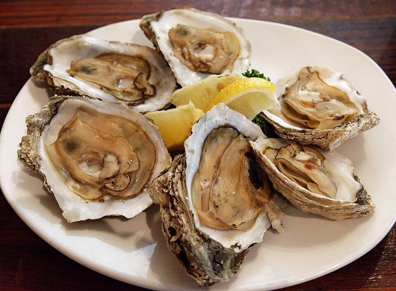 Oysters