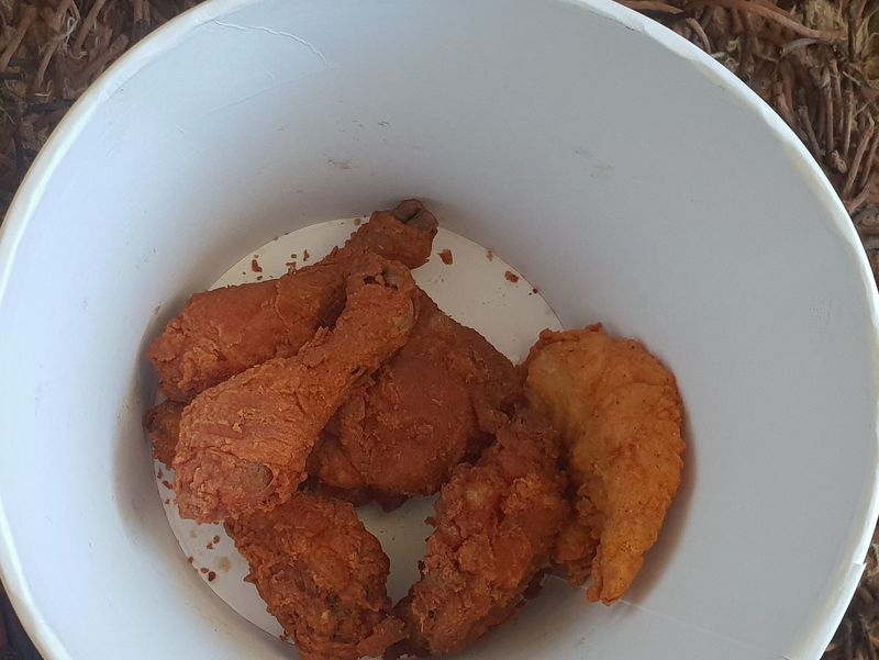 Dry chicken