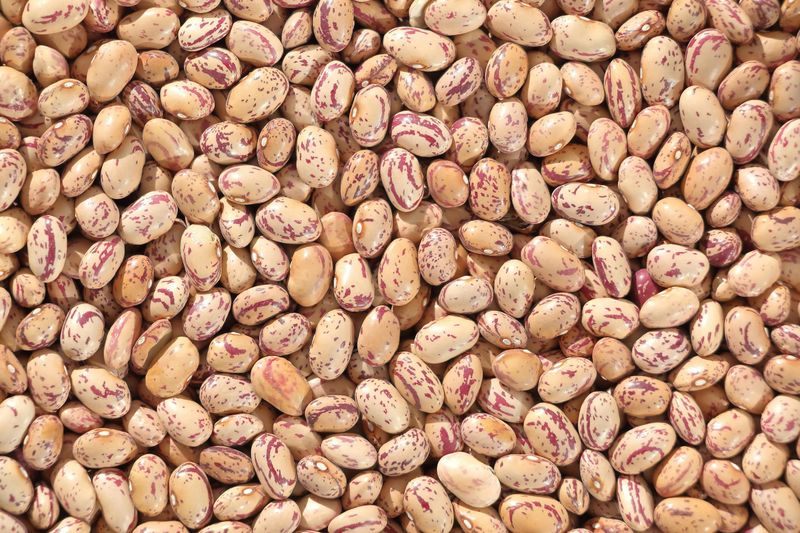 20 Foods That Used to Stretch a Dollar - Now They Stretch the Budget 4 Beans