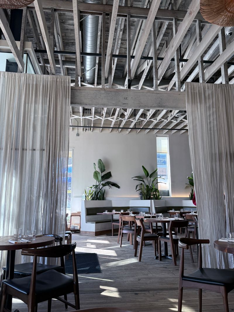 Martina - Minneapolis, Minnesota