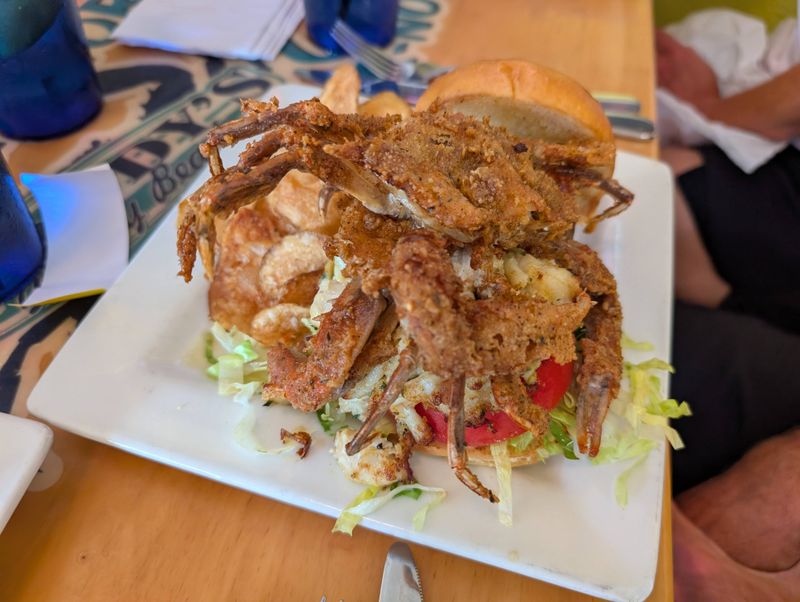 Woody's Dewey Beach - Dewey Beach, Delaware